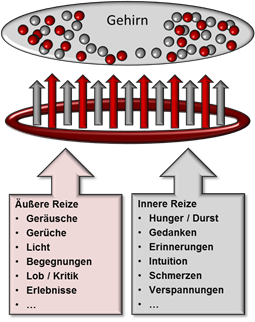 Reizoffenheit